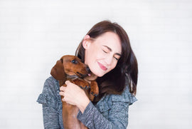 Dog Age Calculator -  Dog Age in Human Years
